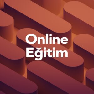 Online Eğitim